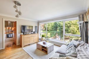 Photo 6- click for photo gallery